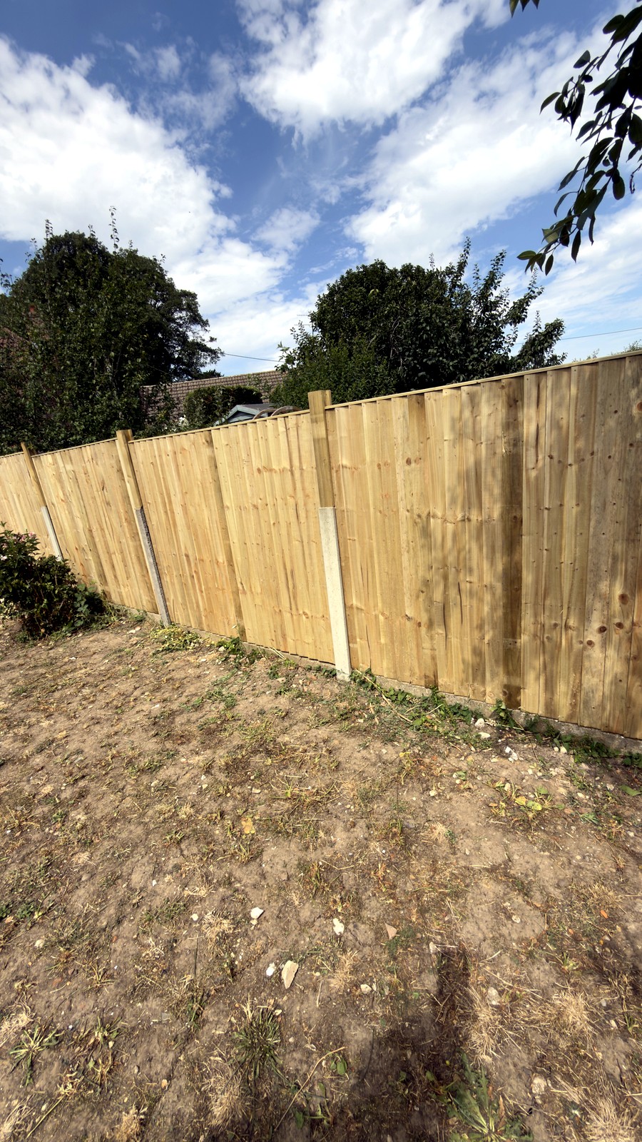 Other works project by OddJobs